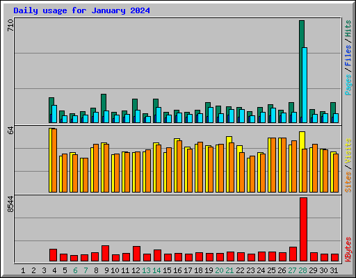 Daily usage for January 2024