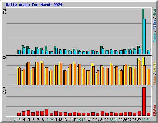 Daily usage for March 2024