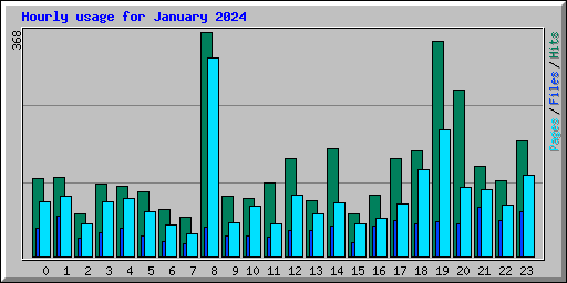 Hourly usage for January 2024