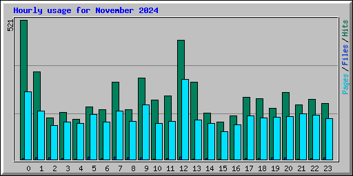 Hourly usage for November 2024