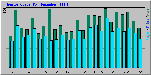 Hourly usage for December 2024