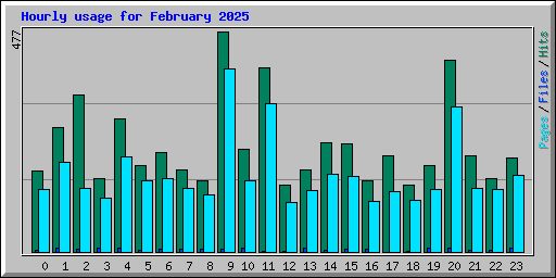 Hourly usage for February 2025