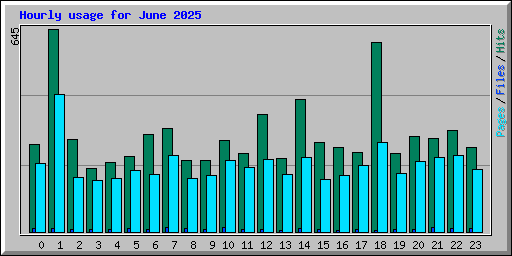 Hourly usage for June 2025