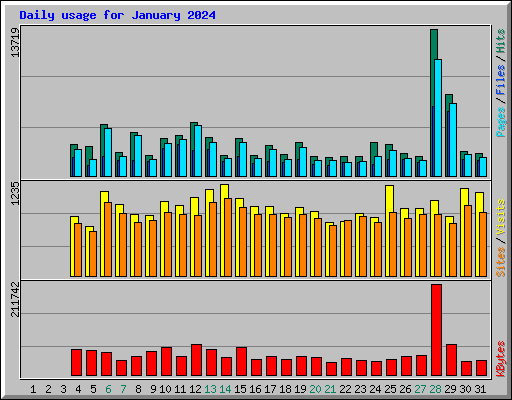 Daily usage for January 2024