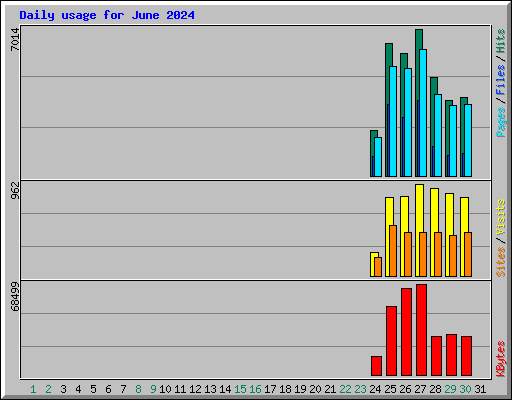 Daily usage for June 2024