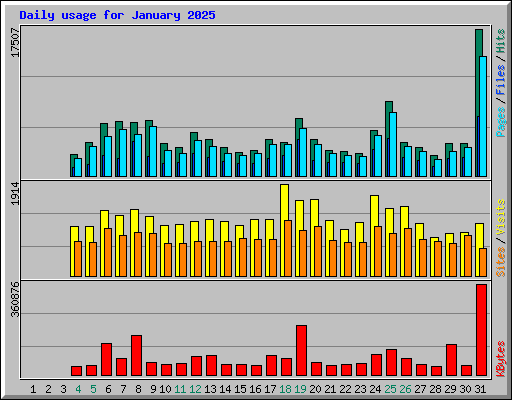 Daily usage for January 2025