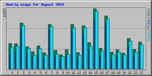 Hourly usage for August 2023