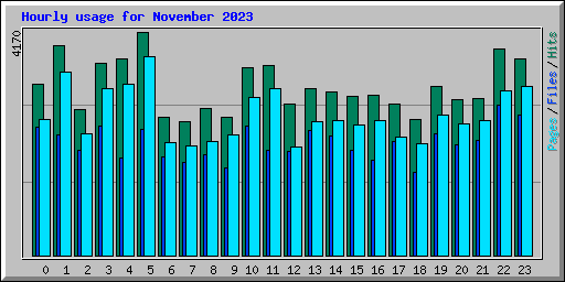 Hourly usage for November 2023