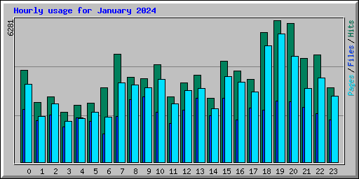 Hourly usage for January 2024