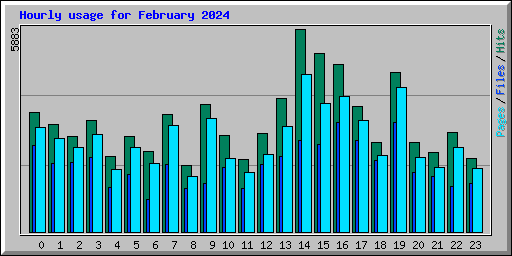 Hourly usage for February 2024