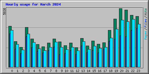 Hourly usage for March 2024