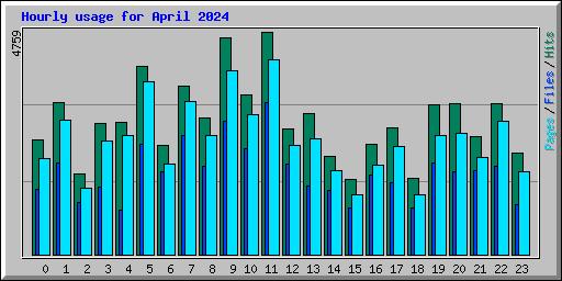 Hourly usage for April 2024