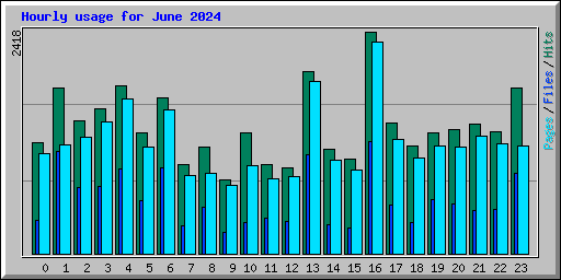 Hourly usage for June 2024