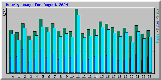 Hourly usage for August 2024