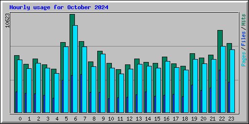 Hourly usage for October 2024