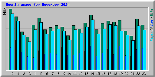 Hourly usage for November 2024