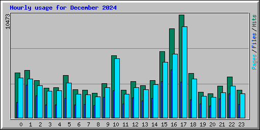 Hourly usage for December 2024