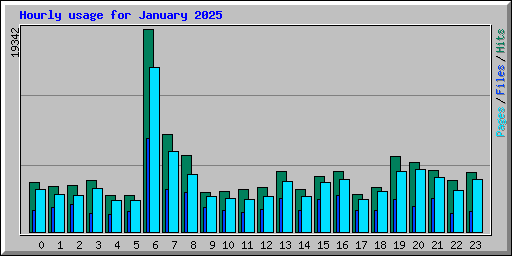 Hourly usage for January 2025