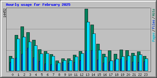 Hourly usage for February 2025