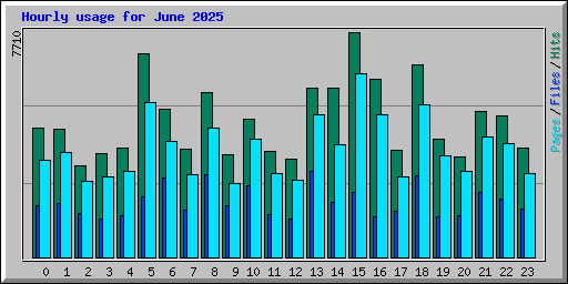 Hourly usage for June 2025