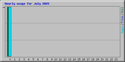 Hourly usage for July 2025
